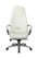 Кресло для руководителя Riva Chair RCH F185+Белый